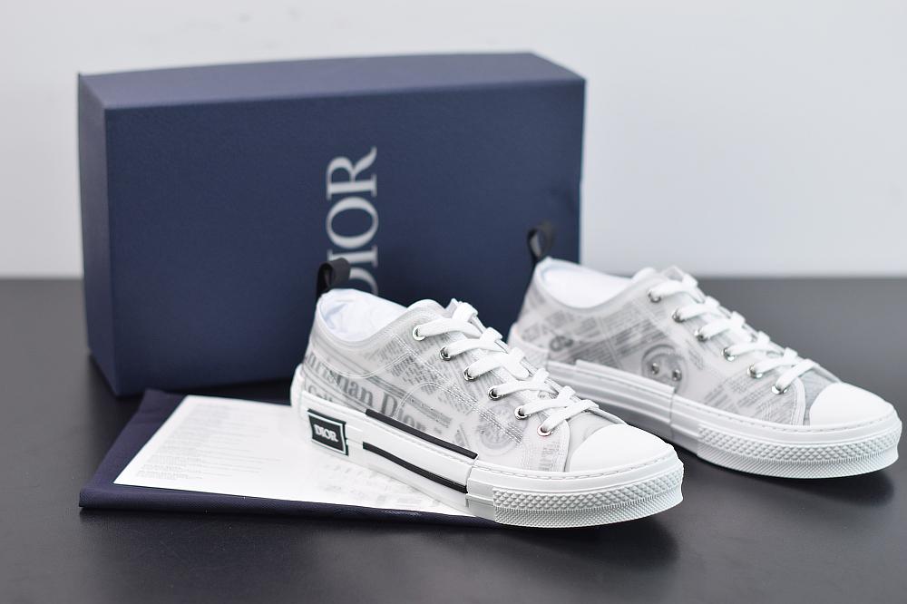 DIOR LOWS CANVAS image 1
