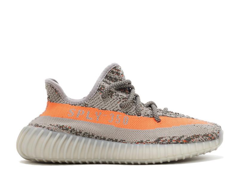 BELUGA V2 image 0