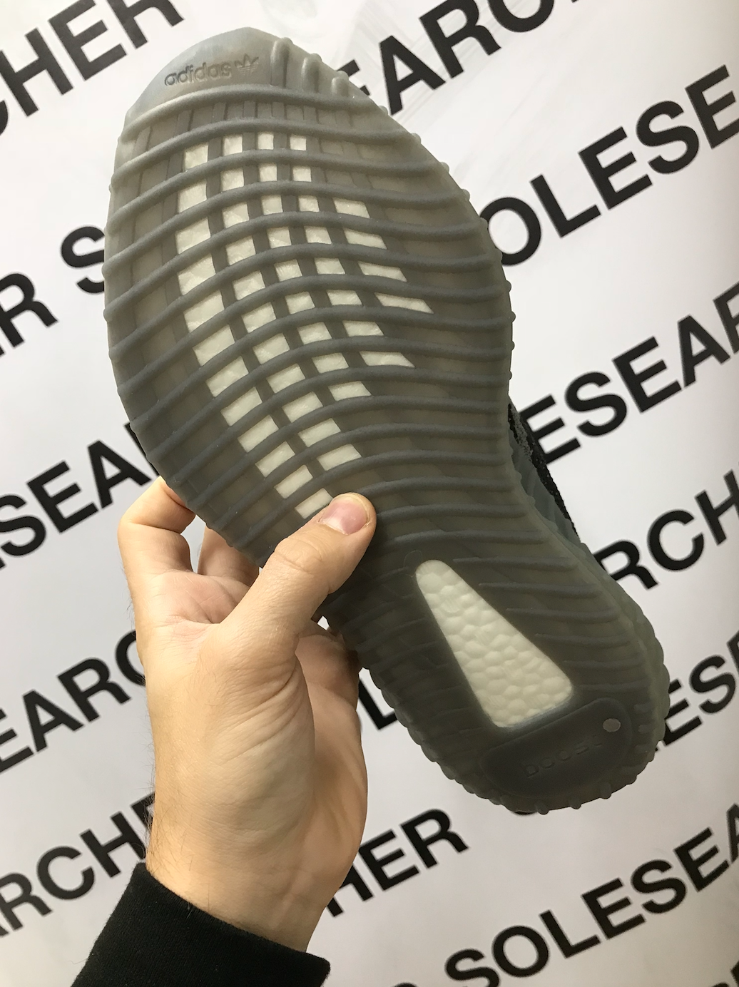 BELUGA 2.0 image 3