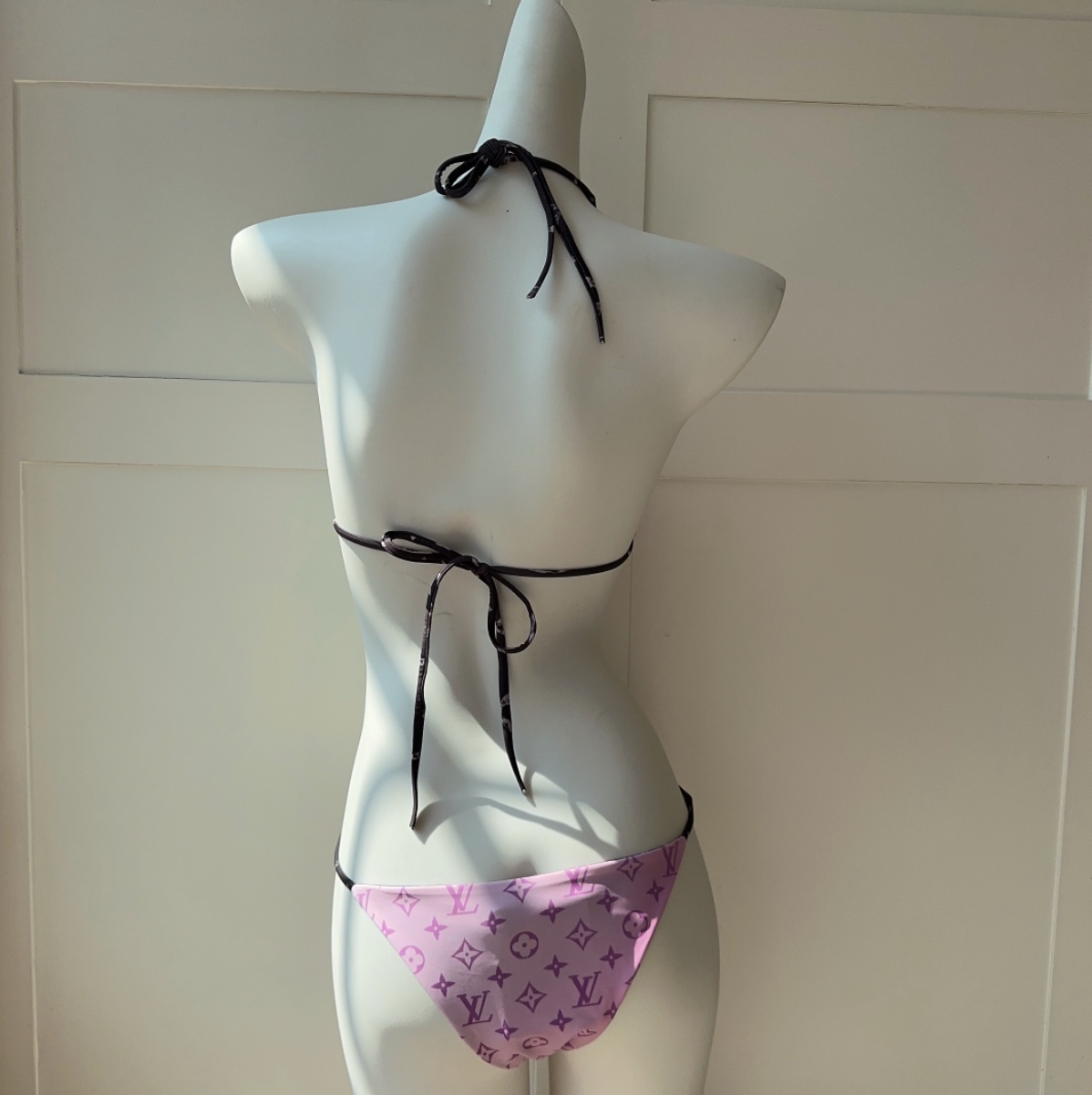 L-V  SWIM image 5