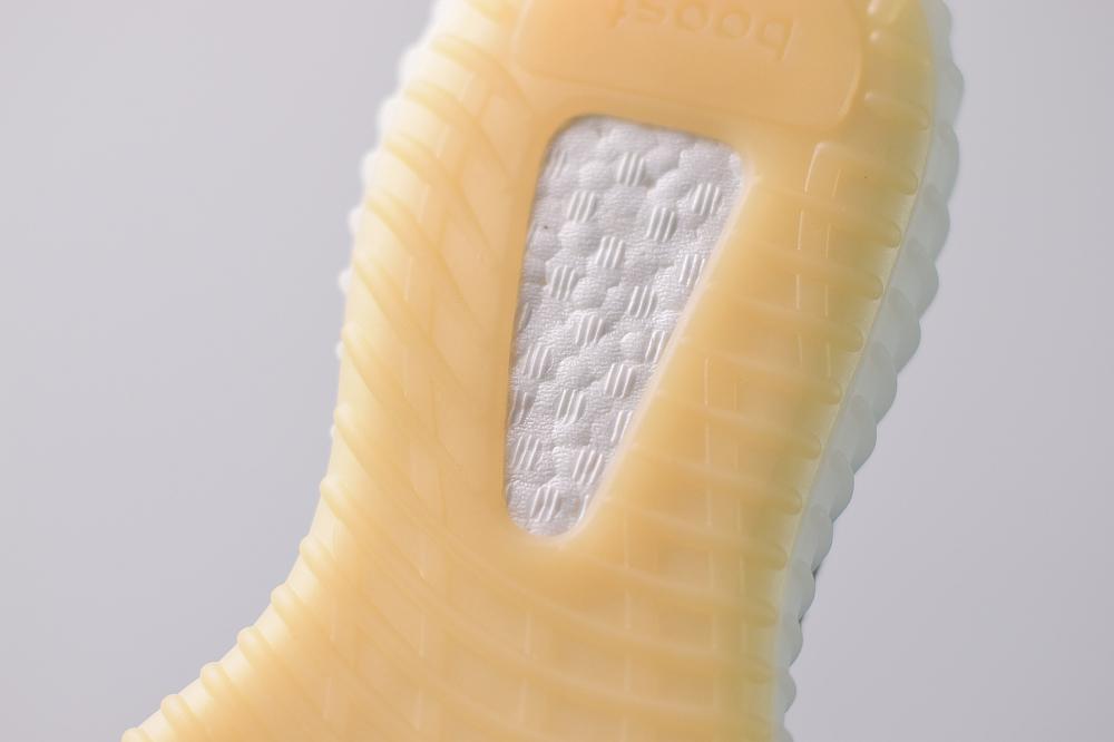 ZYON V2 image 4