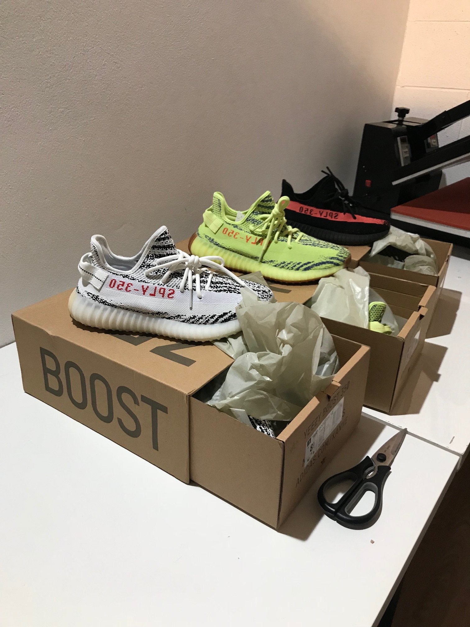 ZEBRA V2 image 1