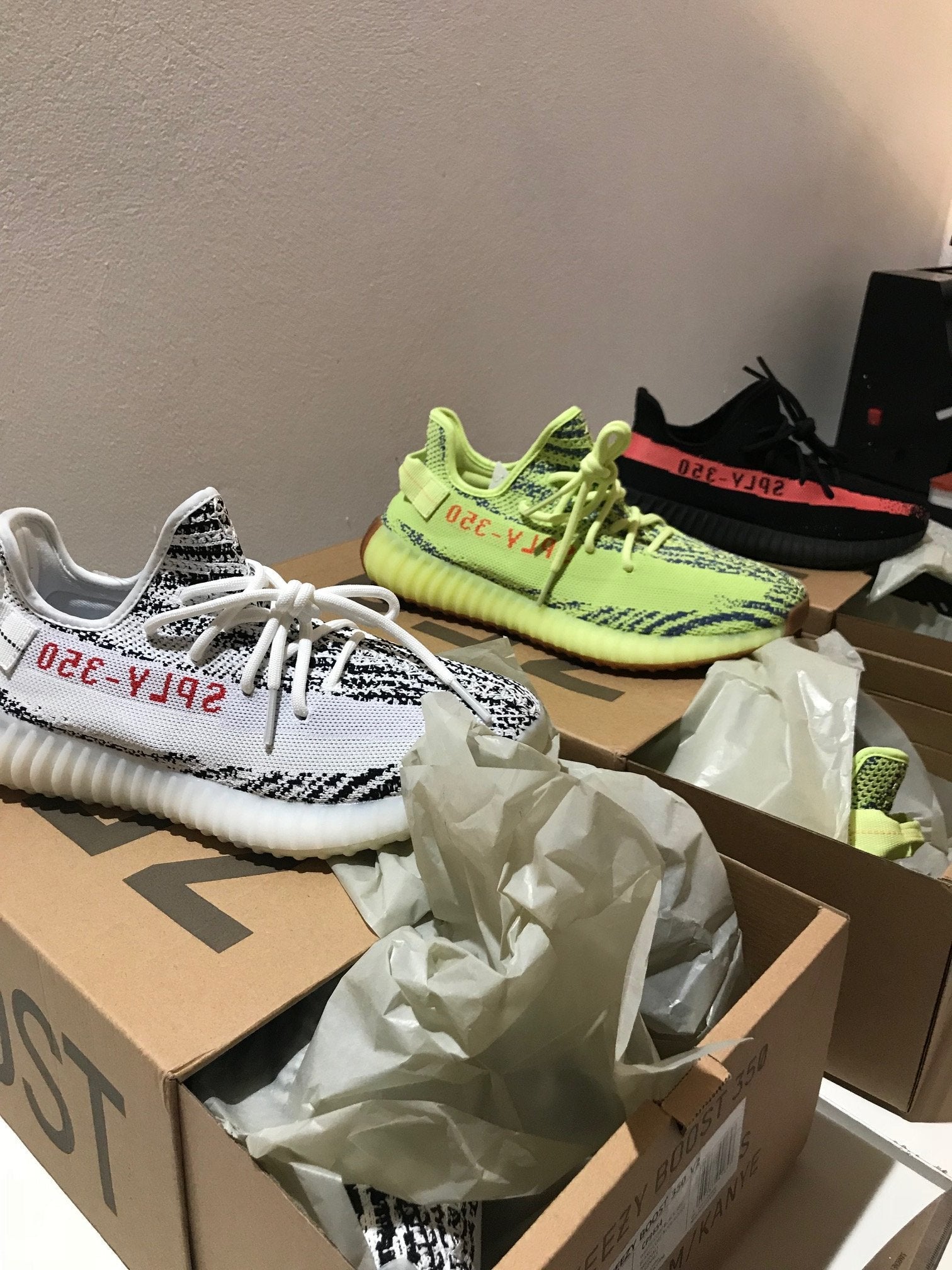 ZEBRA V2 image 2