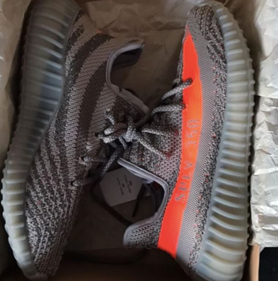 BELUGA V2 image 2