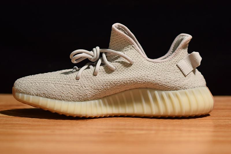 SESAME V2 image 2