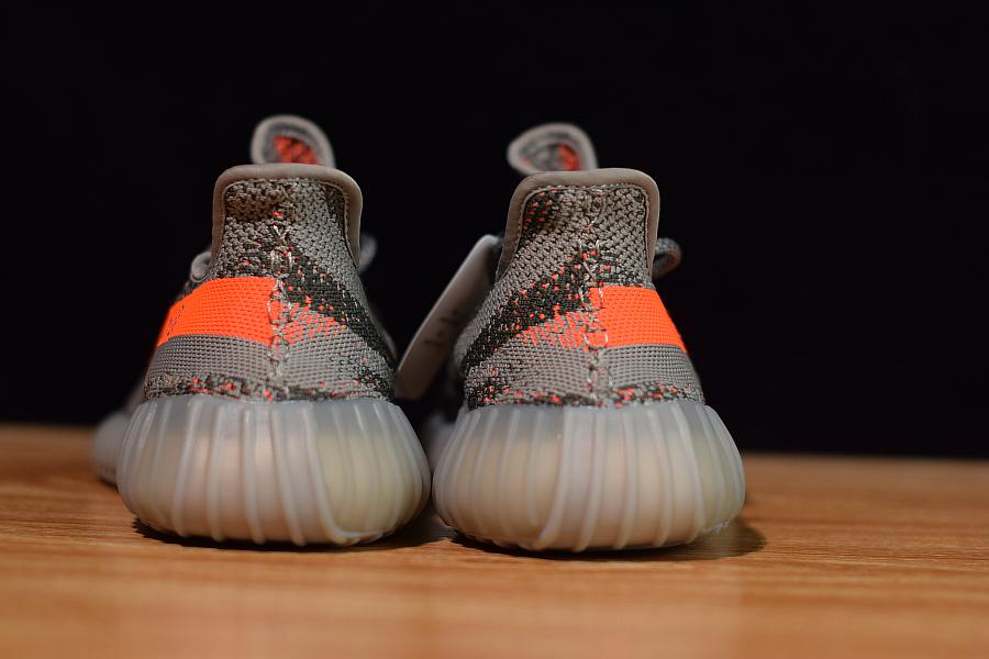 BELUGA V2 image 5