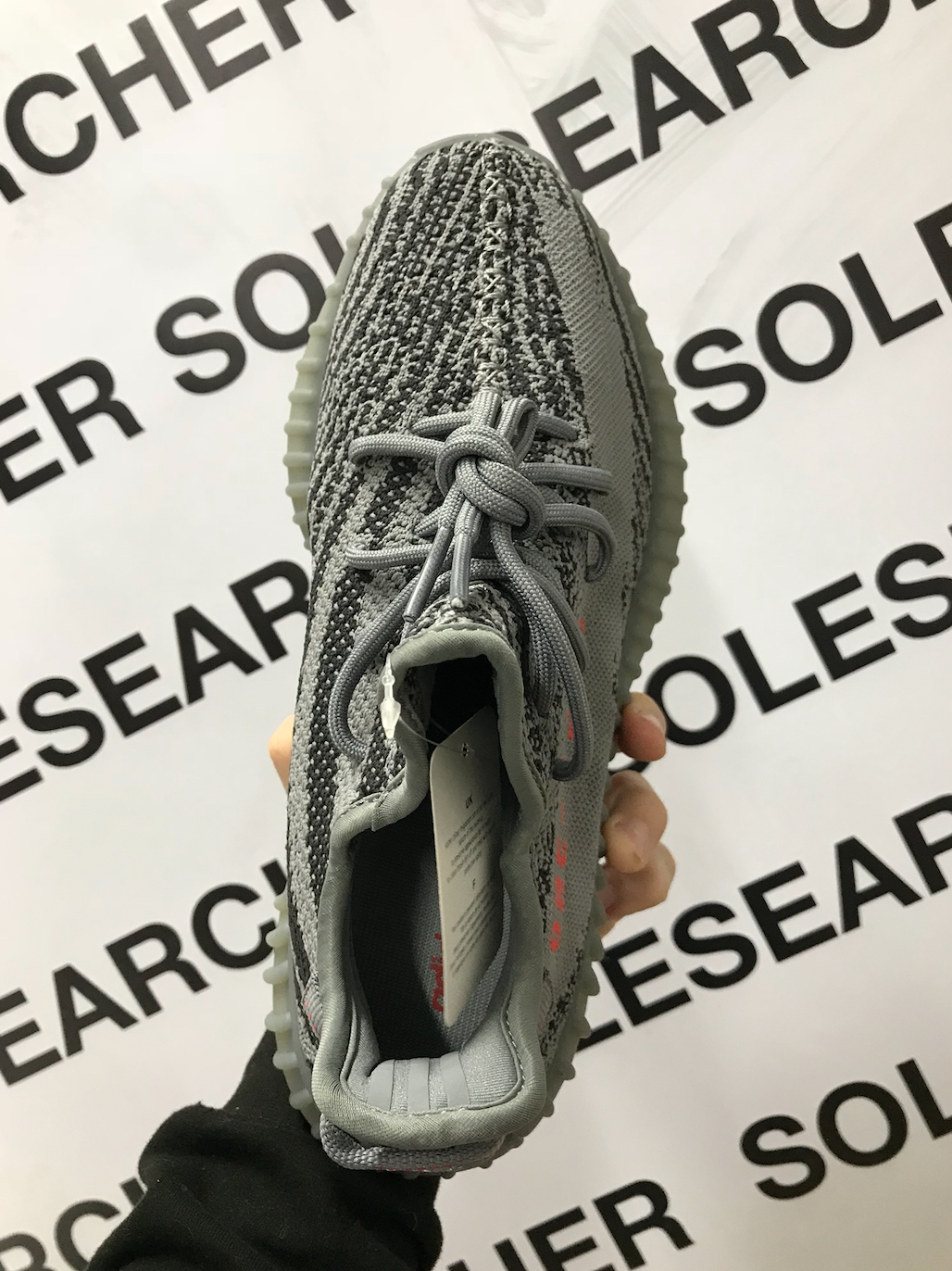 BELUGA 2.0 image 5