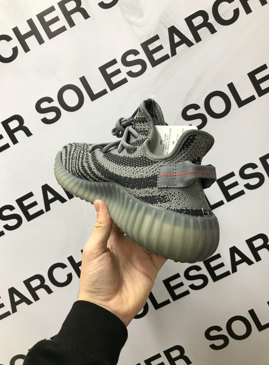 BELUGA 2.0 image 2