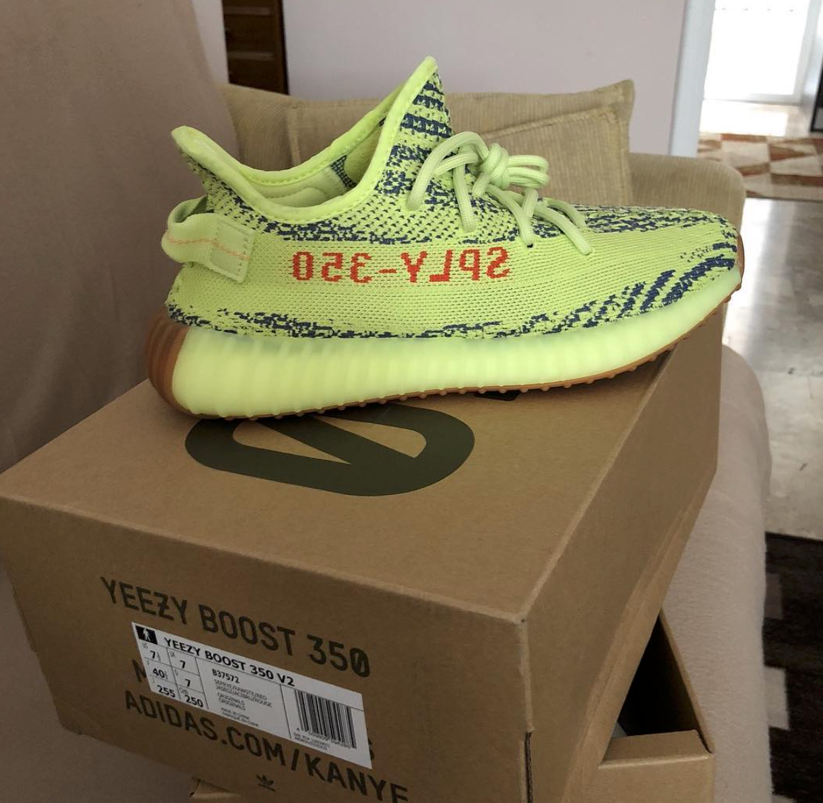 FROZEN V2 image 5