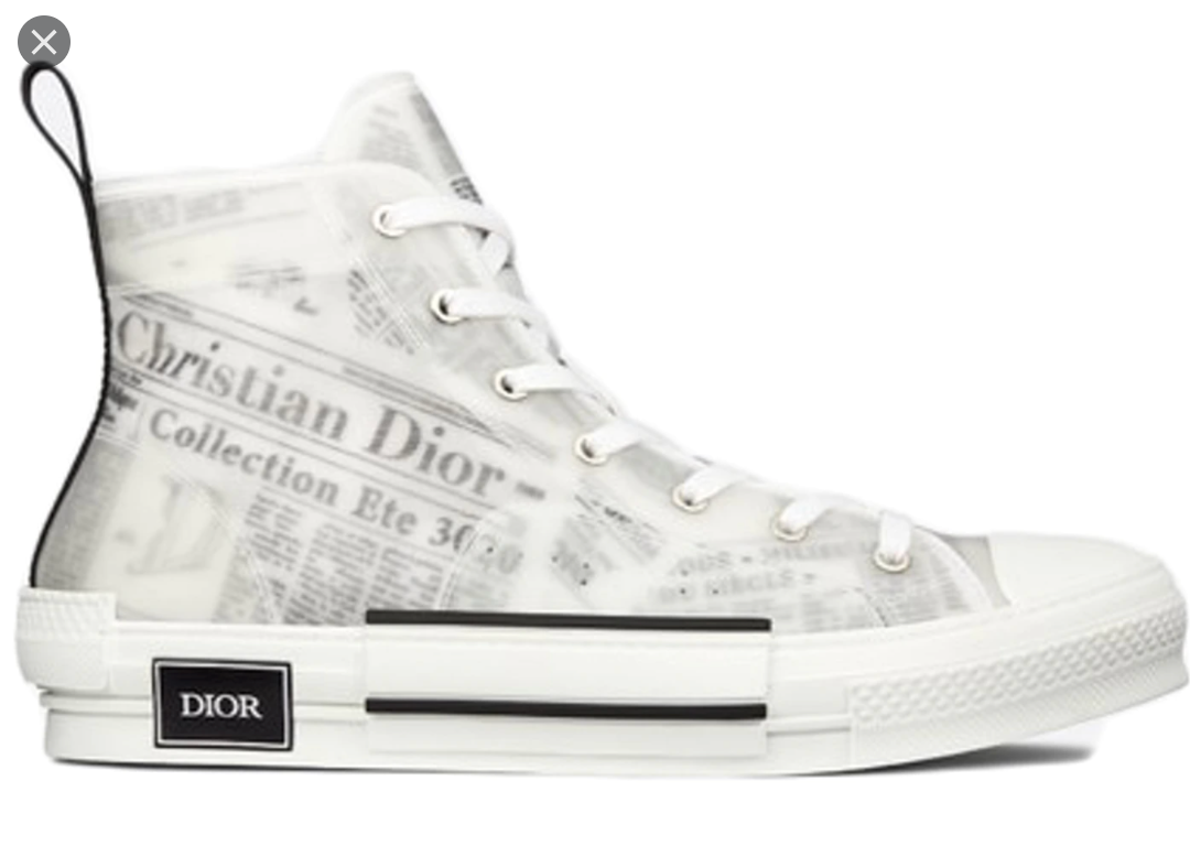 DIOR HIGH CANVAS image 0