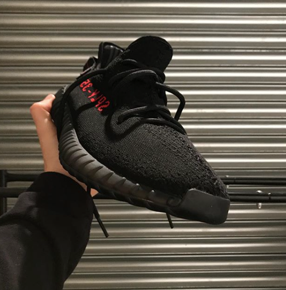 BRED V2 image 2