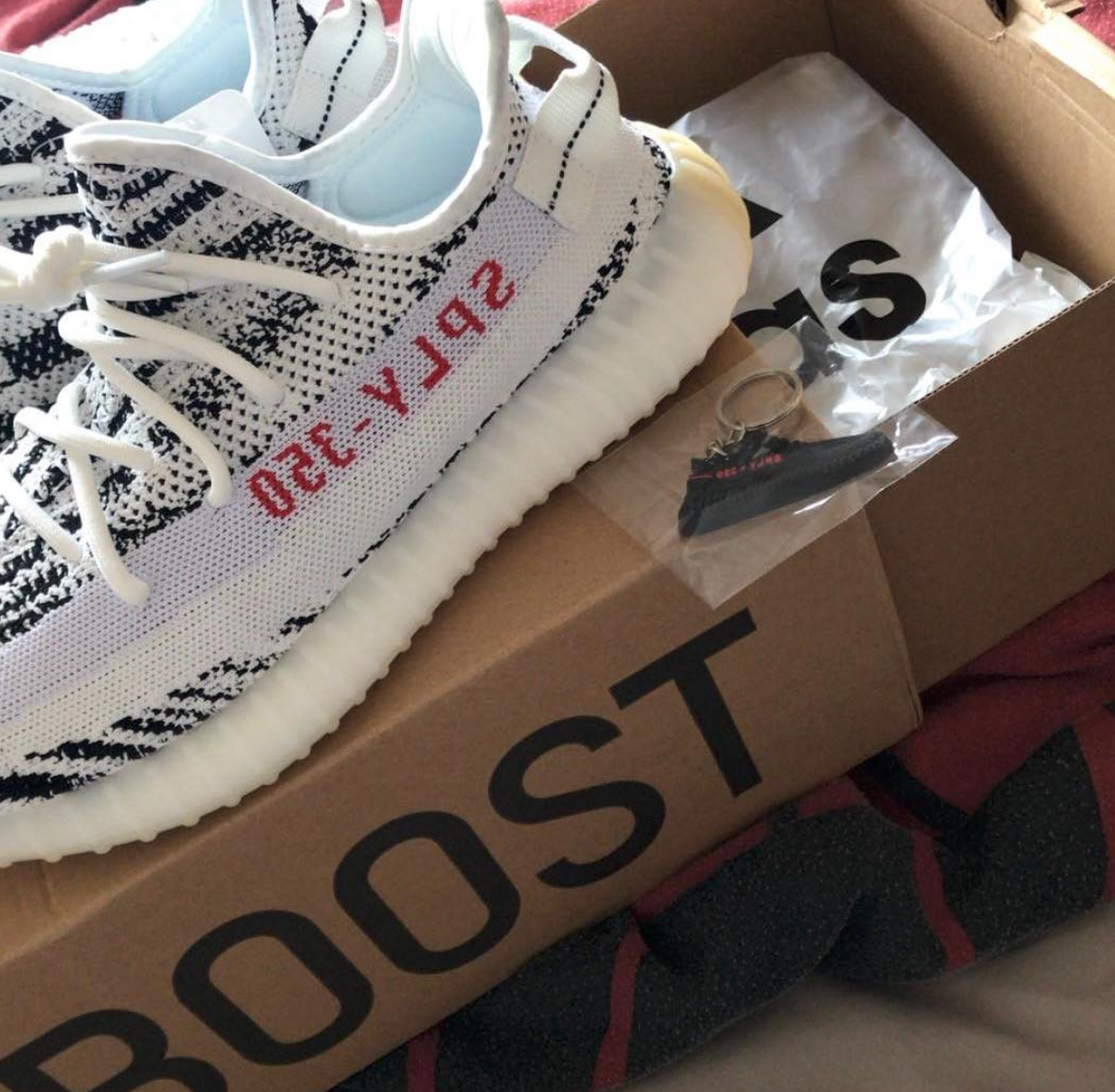 ZEBRA V2 image 3
