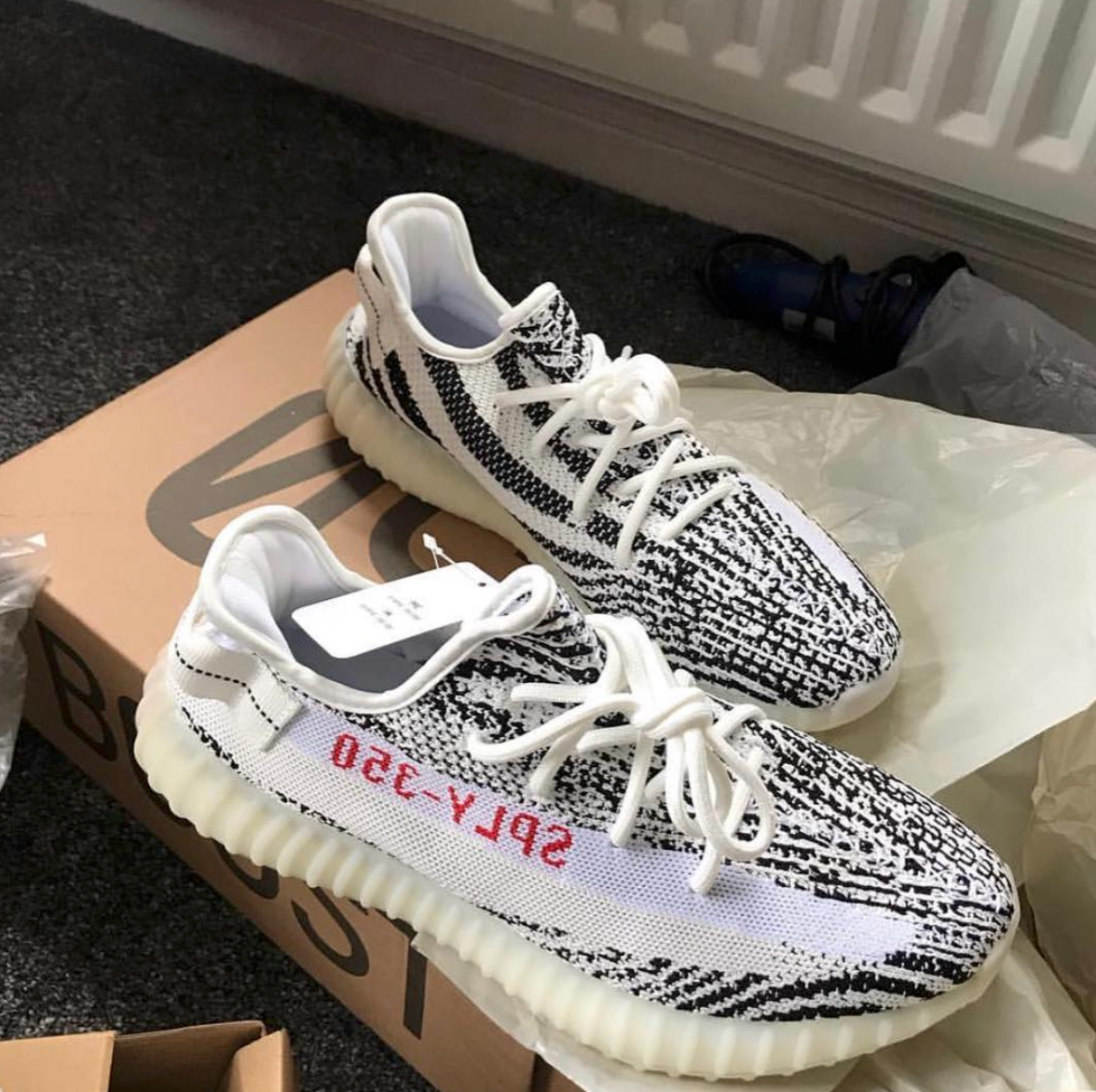 ZEBRA V2 image 4